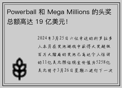 Powerball 和 Mega Millions 的头奖总额高达 19 亿美元！